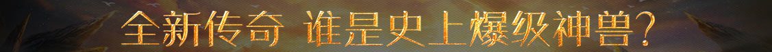 市场决策投资站